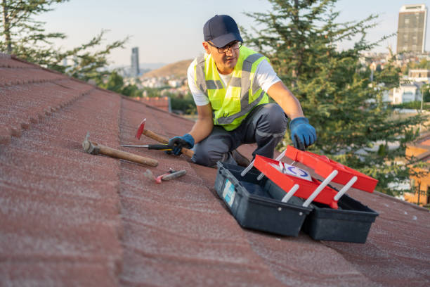 Best Storm Damage Siding Repair  in Essex Junction, VT